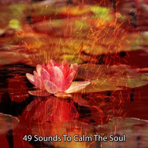 Download track Enlightening Spirit White Noise Meditation