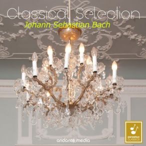 Download track Brandenburg Concerto No. 4 In G Major, BWV 1049: II. Andante Martin Galling, Württembergisches Kammerorchester, Jörg Faerber