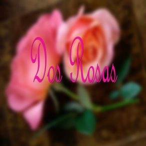 Download track Dos Rosas Bernardo