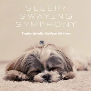 Download track Hypnotic Slumber Suite Tender Melodies For Peaceful Sleep