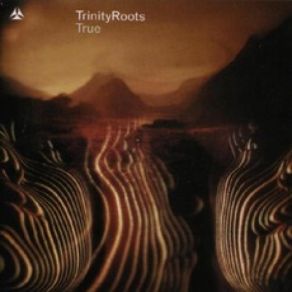 Download track D By D Trinity Roots