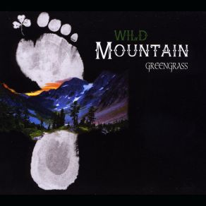 Download track One Step At A Time Wild Mountain