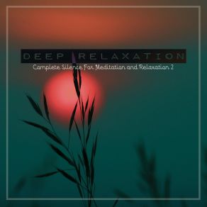 Download track Complete Silence For Meditation And Relaxation, Pt. 3 Craig Hewitt