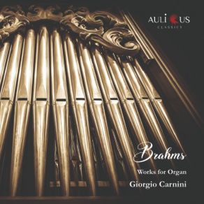 Download track Chorale Preludes, Op. 122 Posth.: No. 11, O Welt, Ich Muss Dich Lassen (Second Version) Giorgio CarniniSecond Version