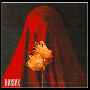 Download track Honwey (Original Mix) Hostox