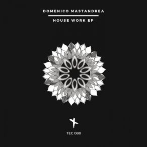 Download track House Work (Original Mix) Domenico Mastandrea