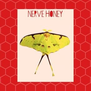 Download track Luna Nerve Honey