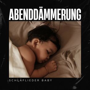 Download track Zarte Stille Umgibt Schlaflieder Baby