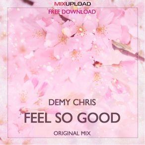 Download track Feel So Good (Original Mix) Demy Chris