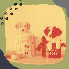 Download track Background For Calming Puppies Doggy Music Vintage