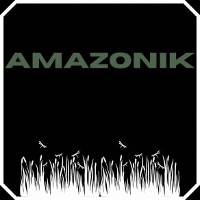 Download track Sintoniza Amazonik