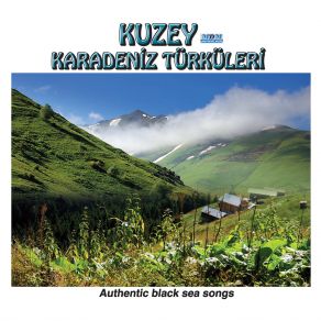 Download track Karadeniz Sevdası Erdal Kalkavan