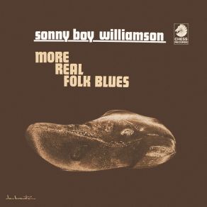 Download track Trying To Get Back On My Feet (Original Mix) Sonny Boy Williamson