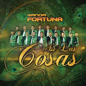 Download track De Aquí Ya No Me Muevo Banda Fortuna