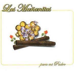 Download track Nochecitas Mexicanas Las Mañanitas