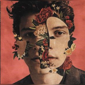 Download track Faillin' All In You Shawn Mendes