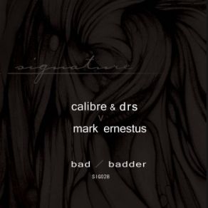 Download track Badder Calibre