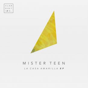 Download track Rusty Nail (Original Mix) Mister Teen