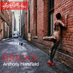 Download track Bricks (Shiny Objects Remix) Nick Chacona