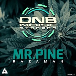 Download track RAZAMAN MR. PINE