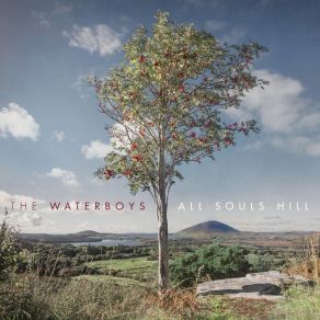 Download track Once Were Brothers The Waterboys