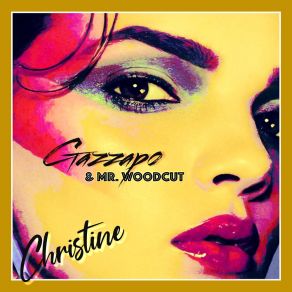 Download track Christine (Iamnotarobot Remix) Mr WoodcutIAmNotARobot