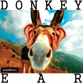 Download track Donkey Ear (Original Mix) Wisenevil