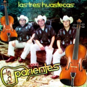 Download track Mi Huastequita Trío Los Parientes