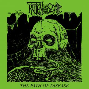 Download track Terrible Sight Of The Empty Eyes Rotten Scalp