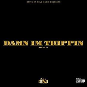 Download track Damn I'm Trippin' Aaron Le