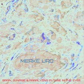 Download track Brain, Sunrise & Paralyzing Future In The Eyes Merke Uro