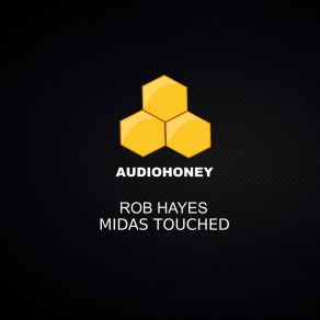 Download track Midas Touched (Extended Mix) Rob Hayes