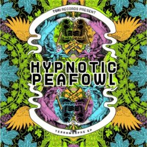 Download track Yorha (Original Mix) Hypnotic Peafowl