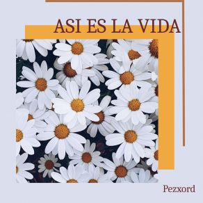 Download track ASI ES LA VIDA (Slowed Remix) Pezxord