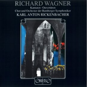 Download track 11. Ouverture Zu Rienzi Der Letzte Der Tribunen WWV 49 Richard Wagner