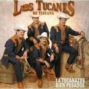 Download track El Borrego Los Tucanes De Tijuana