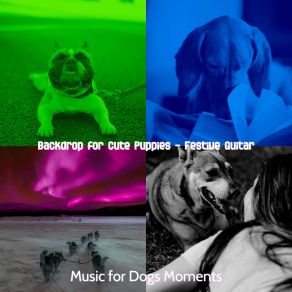 Download track Tremendous Music For Training Dogs Music For Dogs Moments