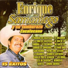 Download track Potro Lobo Gateado Enrique Samaniego