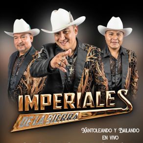 Download track No Me Llames Mas / Contra El Dragón / Llorando Se Fue / Regresa Amor (En Vivo) Imperiales De La Sierra