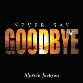 Download track I Can See You Marvin Jackson