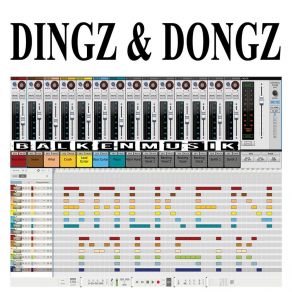 Download track Ans Ziel Dingz & Dongz