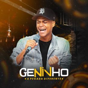 Download track Pássaro Noturno Geninho