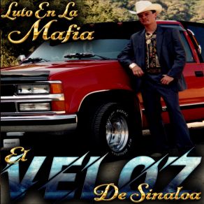 Download track La Banda Del Marquis Negro El Veloz De Sinaloa