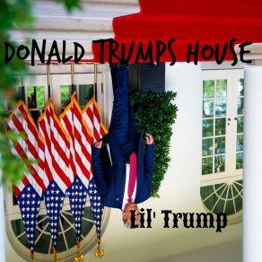 Download track Running For The Boarder Lil Trump