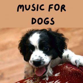 Download track Calm Pet Music Music For Dogs Peace