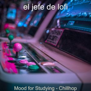 Download track Contemporary Soundscapes For Chilling At Home El Jefe De Lofi