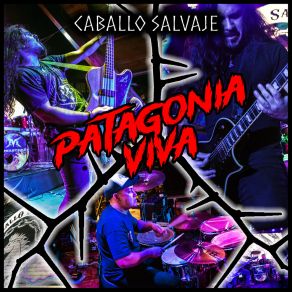 Download track Los Caballos Son Salvajes Caballo Salvaje