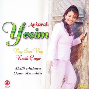 Download track Hüdayda Ankaralı Yeşim