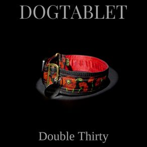 Download track Blind Sight Dogtablet