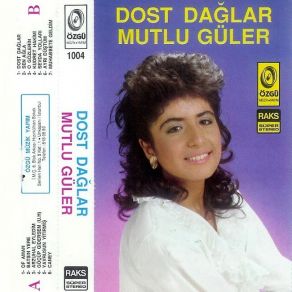 Download track Ayrı Düştüm Mutlu Güler